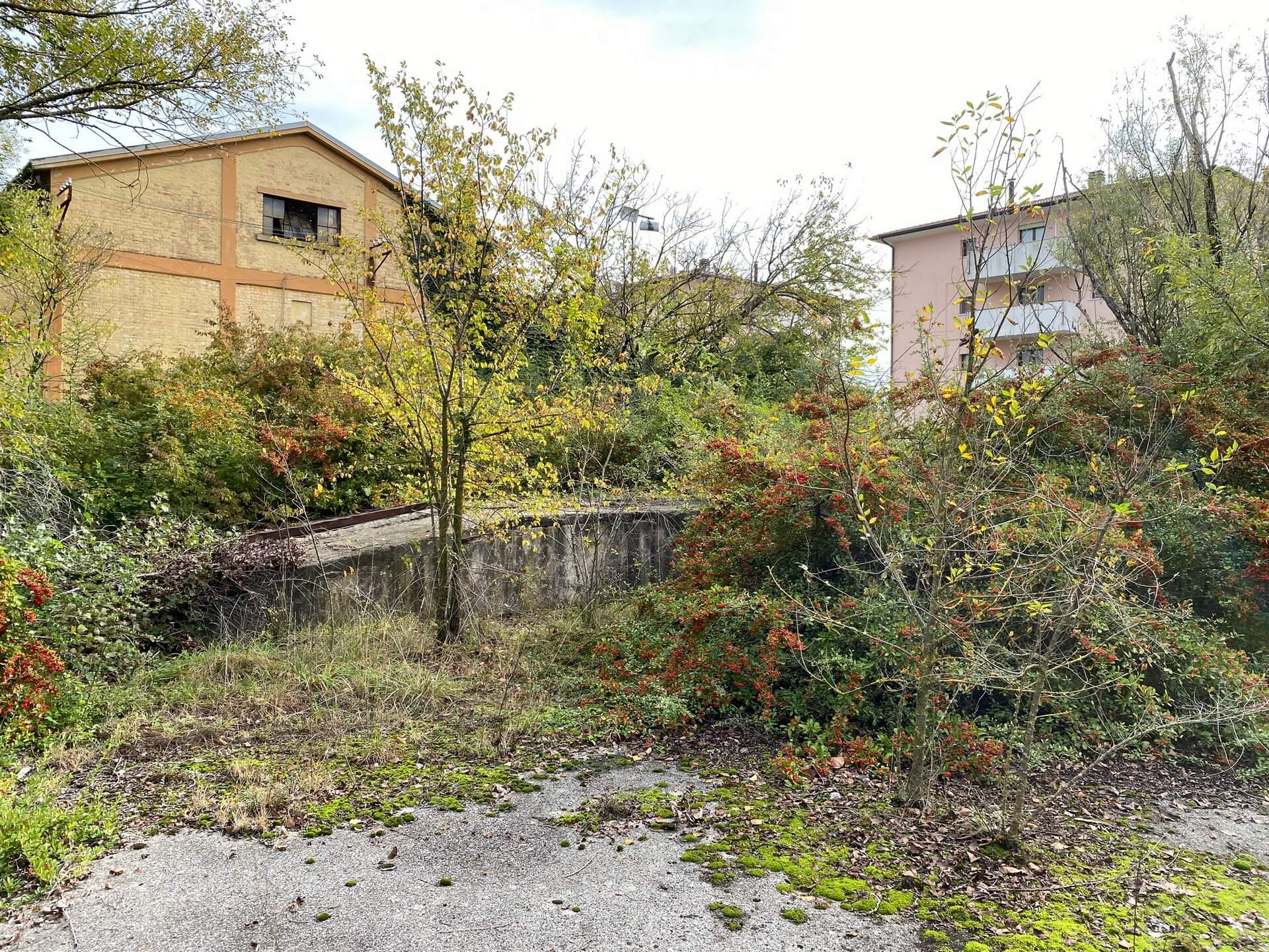 CORDE_MNTPSB PARCO URBANO_©archivio corde a.a._stato di fatto