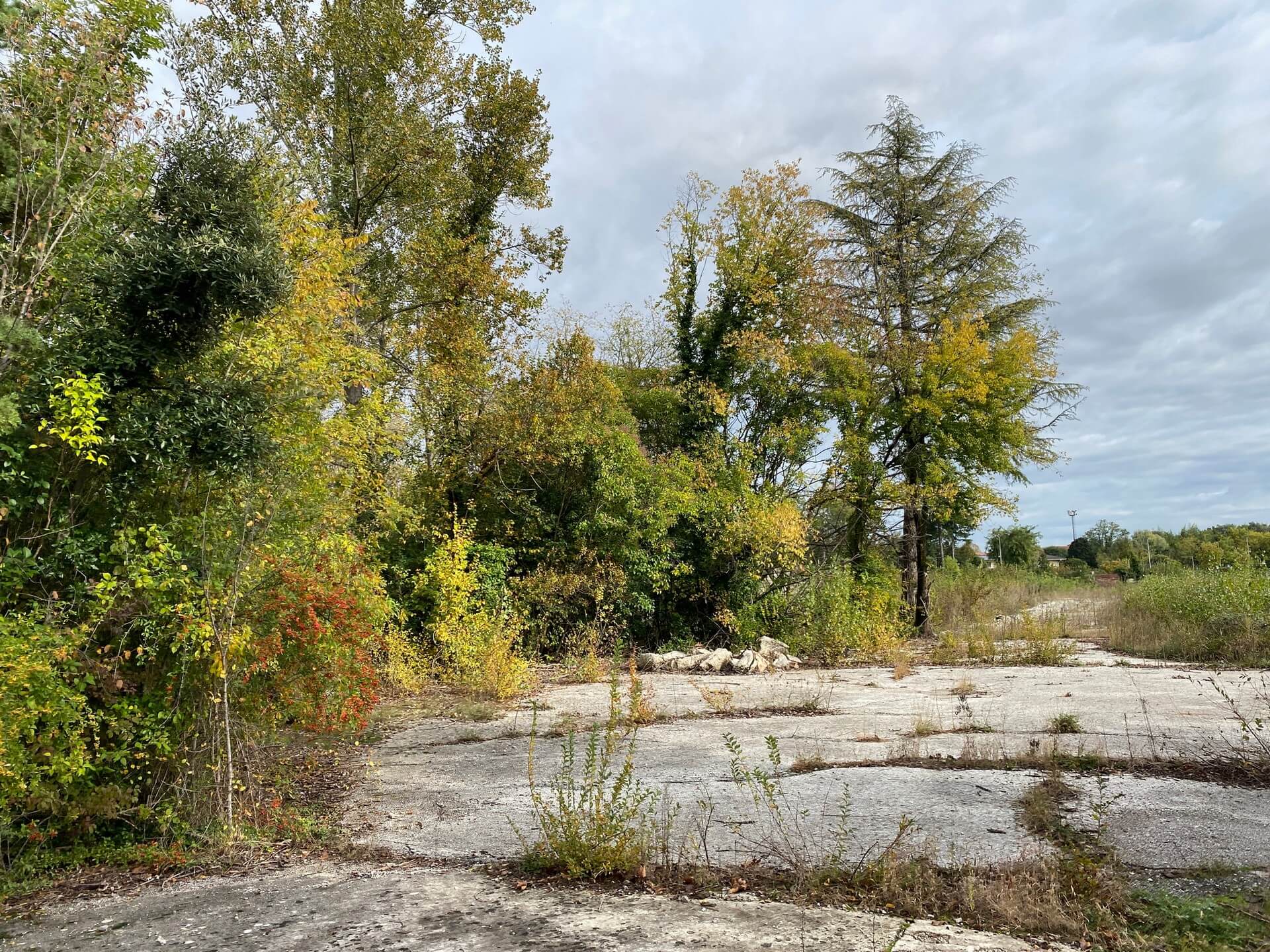 CORDE_MNTPSB PARCO URBANO_©archivio corde a.a._stato di fatto