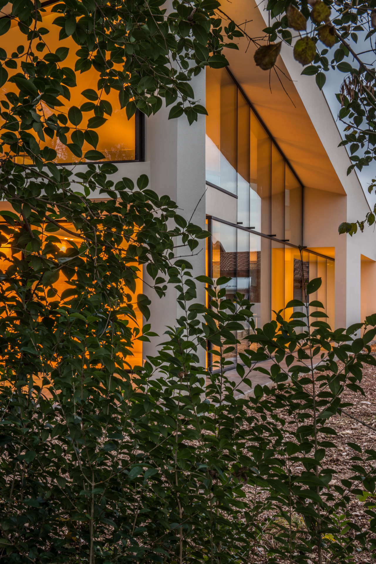 CORDE_CASA PLS_©Alessandro Ruzzier_scorcio tra gli alberi