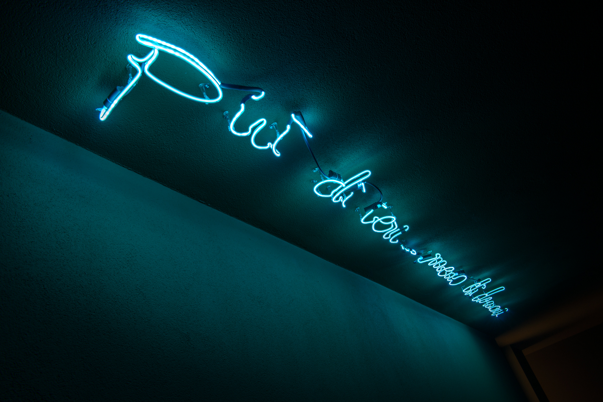 CORDE_CASA PLS_©Alessandro Ruzzier_dettaglio dedica neon 2