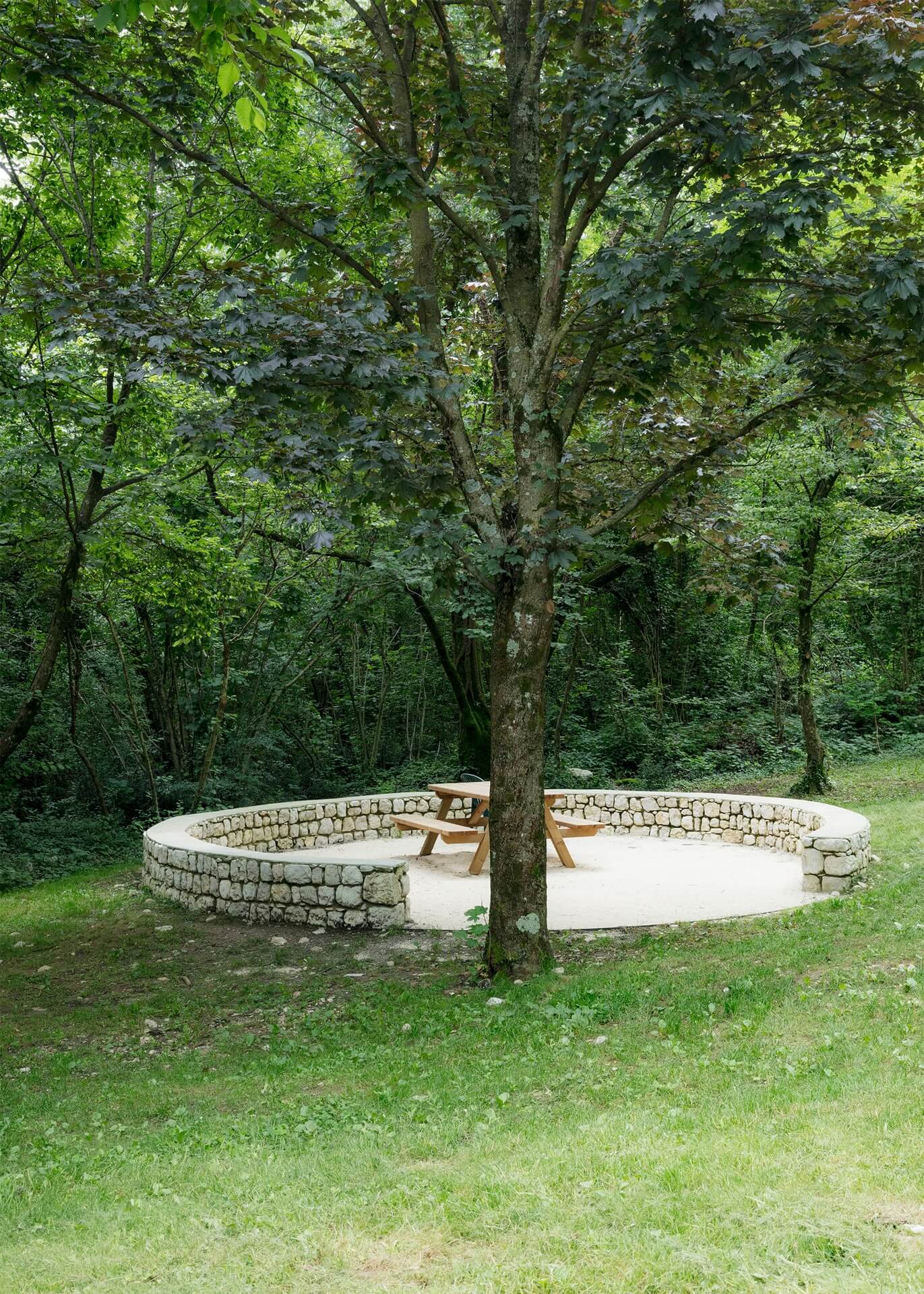corde a.a._Ciampore_©gerdastudio_05 CORDE_CMPR_©gerdastudio_dettaglio moltrin albero parco