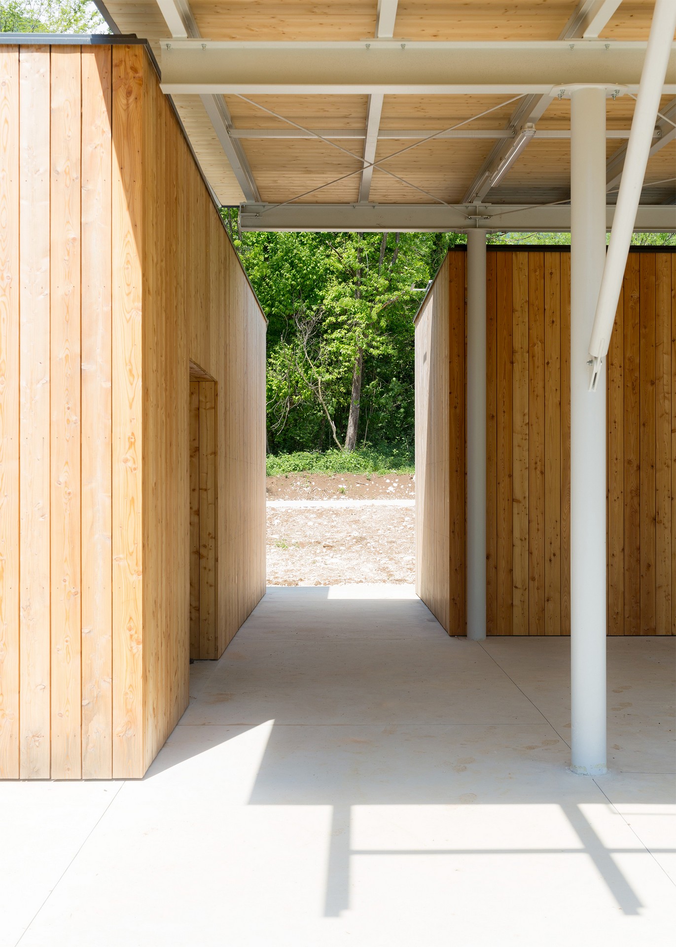 corde a.a._Ciampore_©gerdastudio_19 CORDE_CMPR_©gerdastudio_scorcio verso il bosco