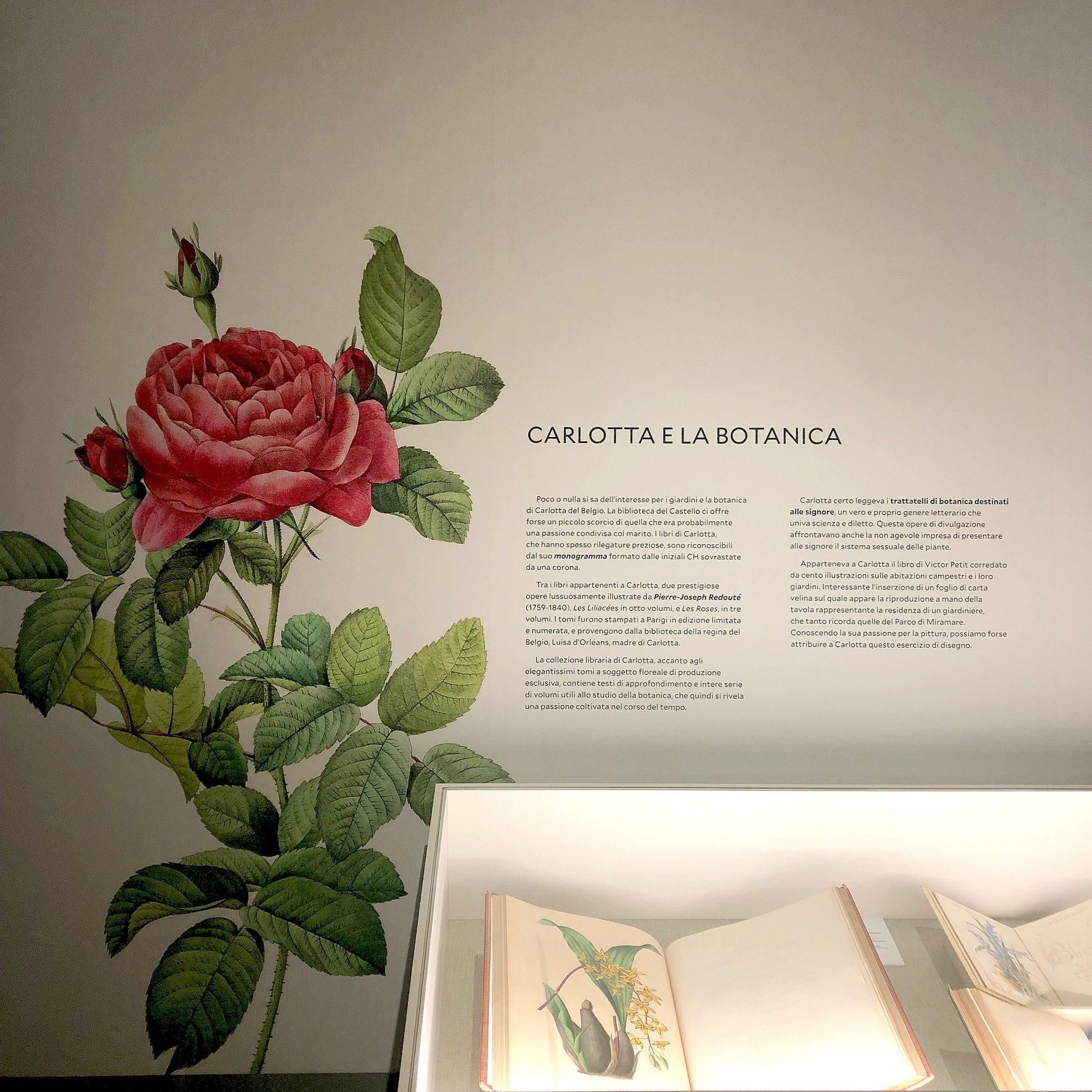 CORDE_ARS BOTANICA_©Design Associati_01 CORDE_ARS BOTANICA_©Design Associati_allestimento temporaneo_Caterina e la botanica