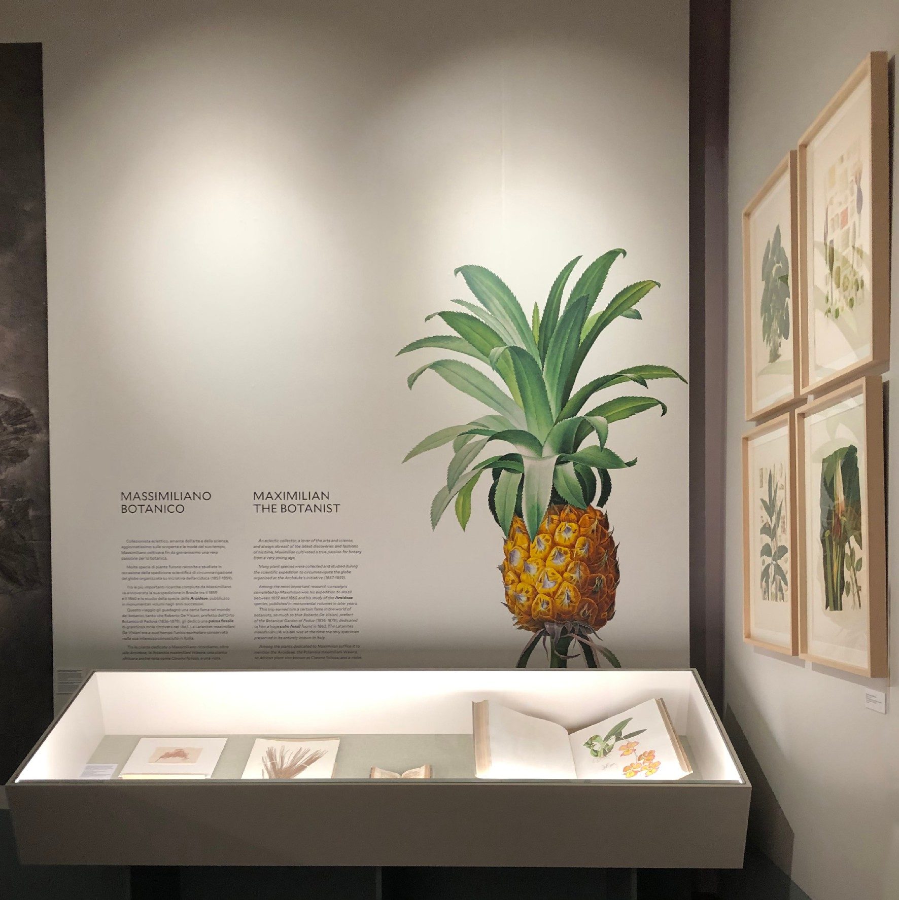 CORDE_ARS BOTANICA_©Design Associati_02 CORDE_ARS BOTANICA_©Design Associati_teca Massimiliano botanico