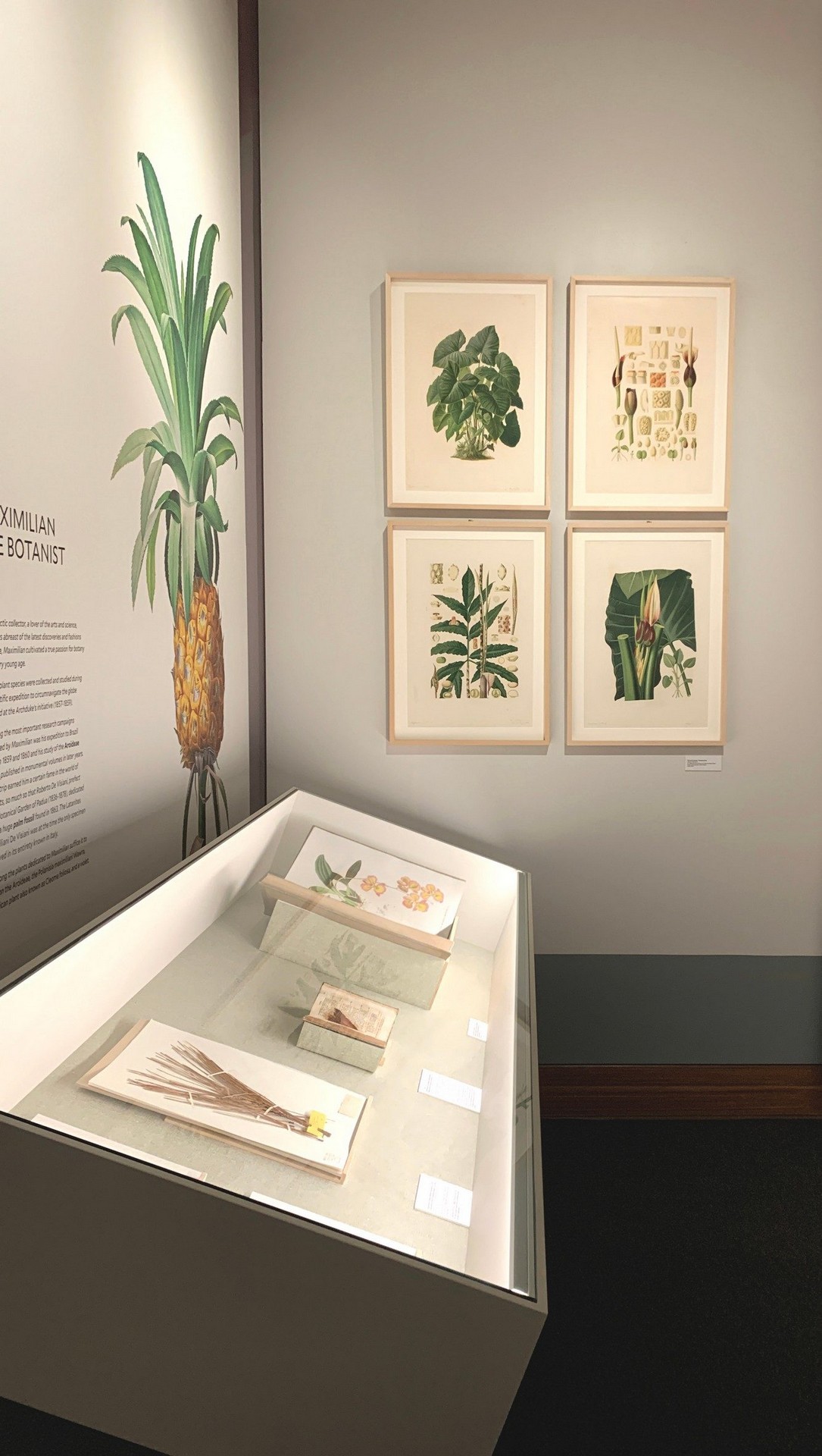 CORDE_ARS BOTANICA_©Design Associati_03 CORDE_ARS BOTANICA_©Design Associati_teca Massimiliano botanico
