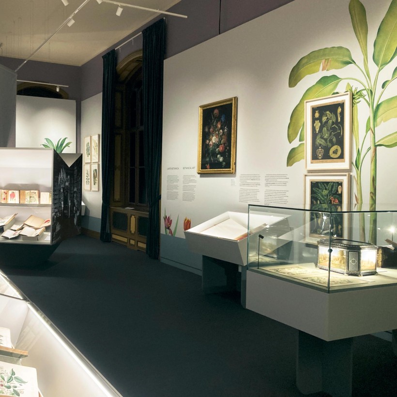 CORDE_ARS BOTANICA_©Design Associati_06 CORDE_ARS BOTANICA_©Design Associati_allestimento temporaneo