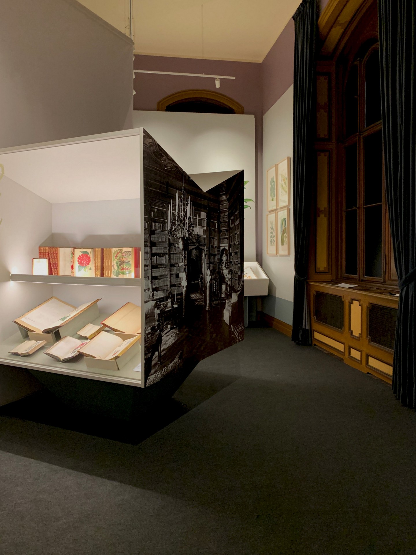 CORDE_ARS BOTANICA_©Design Associati_07 CORDE_ARS BOTANICA_©Design Associati_allestimento temporaneo