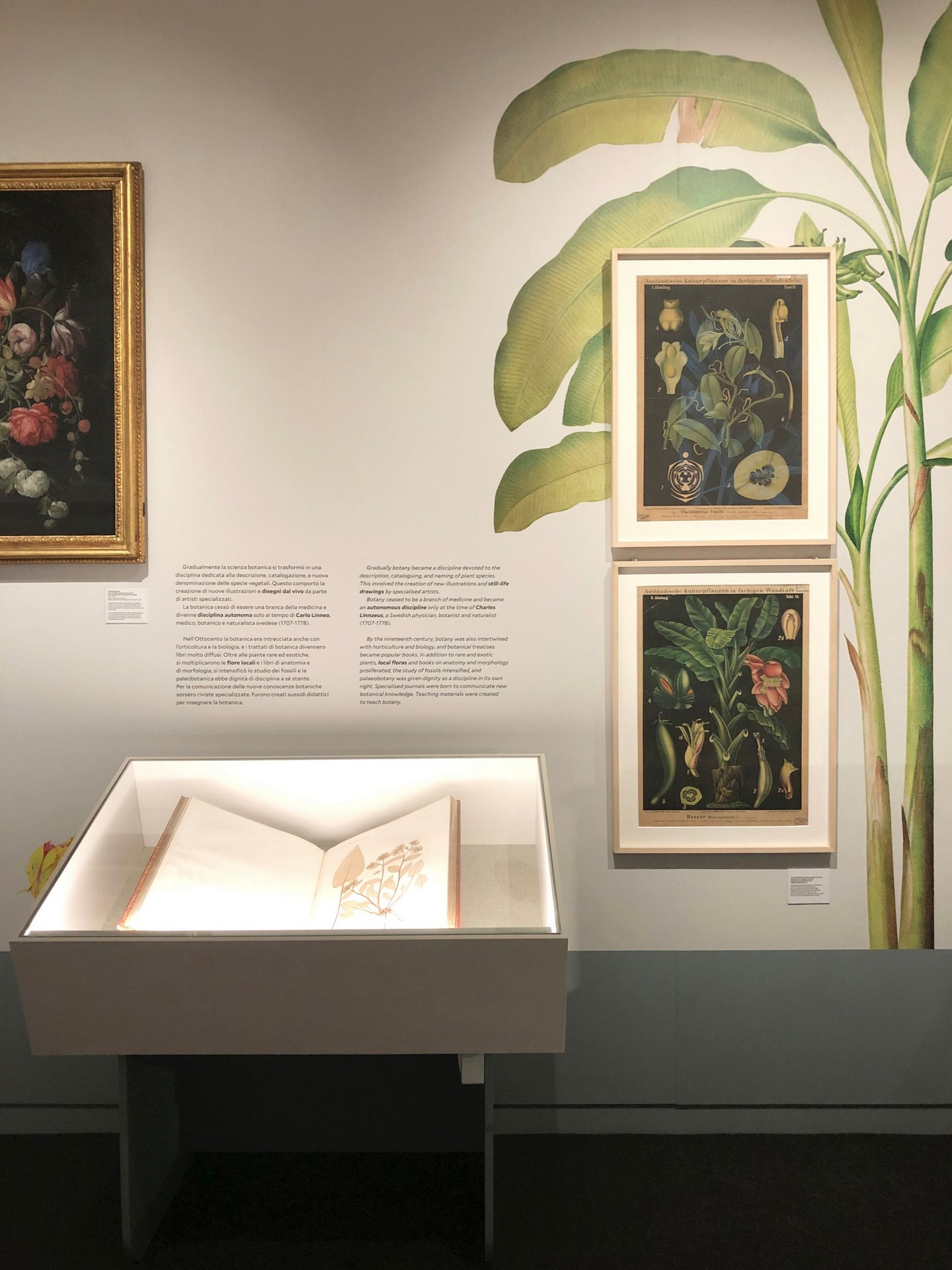 CORDE_ARS BOTANICA_©Design Associati_08 CORDE_ARS BOTANICA_©Design Associati_allestimento temporaneo