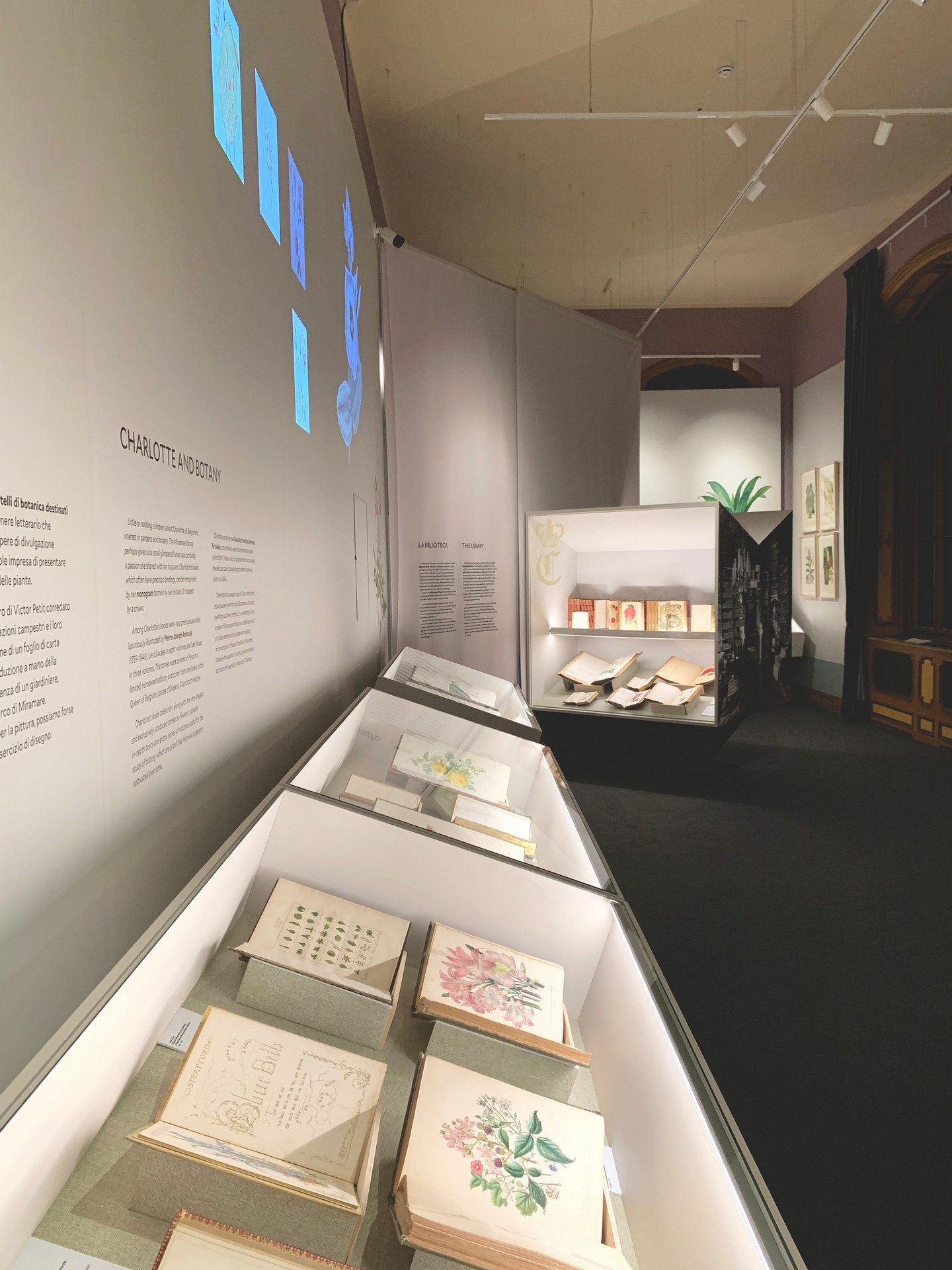 CORDE_ARS BOTANICA_©Design Associati_09 CORDE_ARS BOTANICA_©Design Associati_allestimento temporaneo