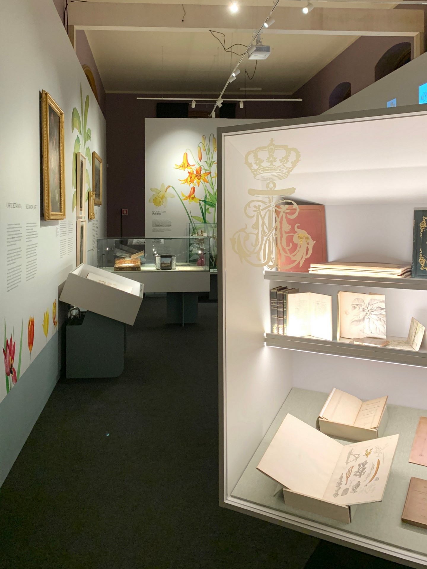 CORDE_ARS BOTANICA_©Design Associati_13 CORDE_ARS BOTANICA_©Design Associati_allestimento temporaneo