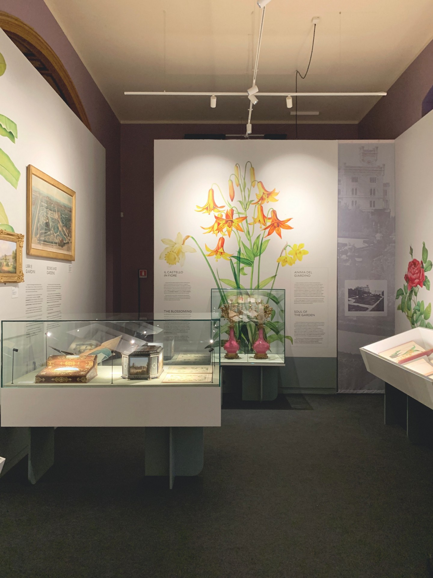 CORDE_ARS BOTANICA_©Design Associati_15 CORDE_ARS BOTANICA_©Design Associati_allestimento temporaneo