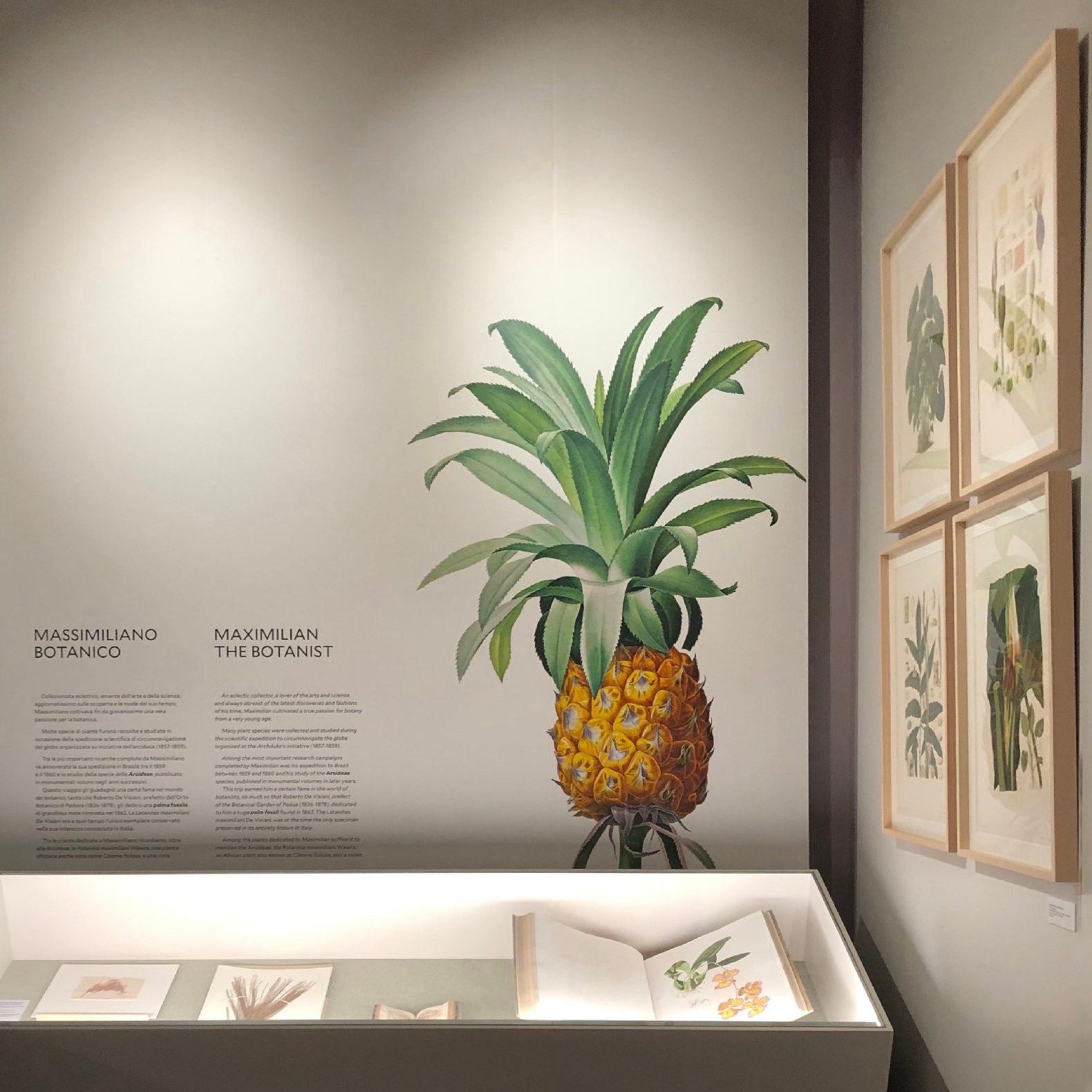 CORDE_ARS BOTANICA_©Design Associati_immagine in evidenza