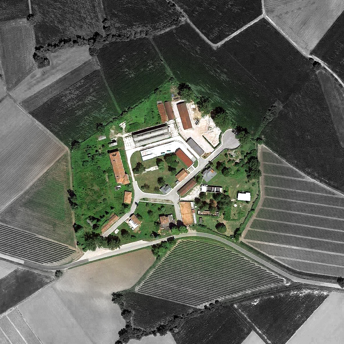 CORDE_ARZENE_©archivio corde a.a._studio di fattibilità_immagine in evidenza