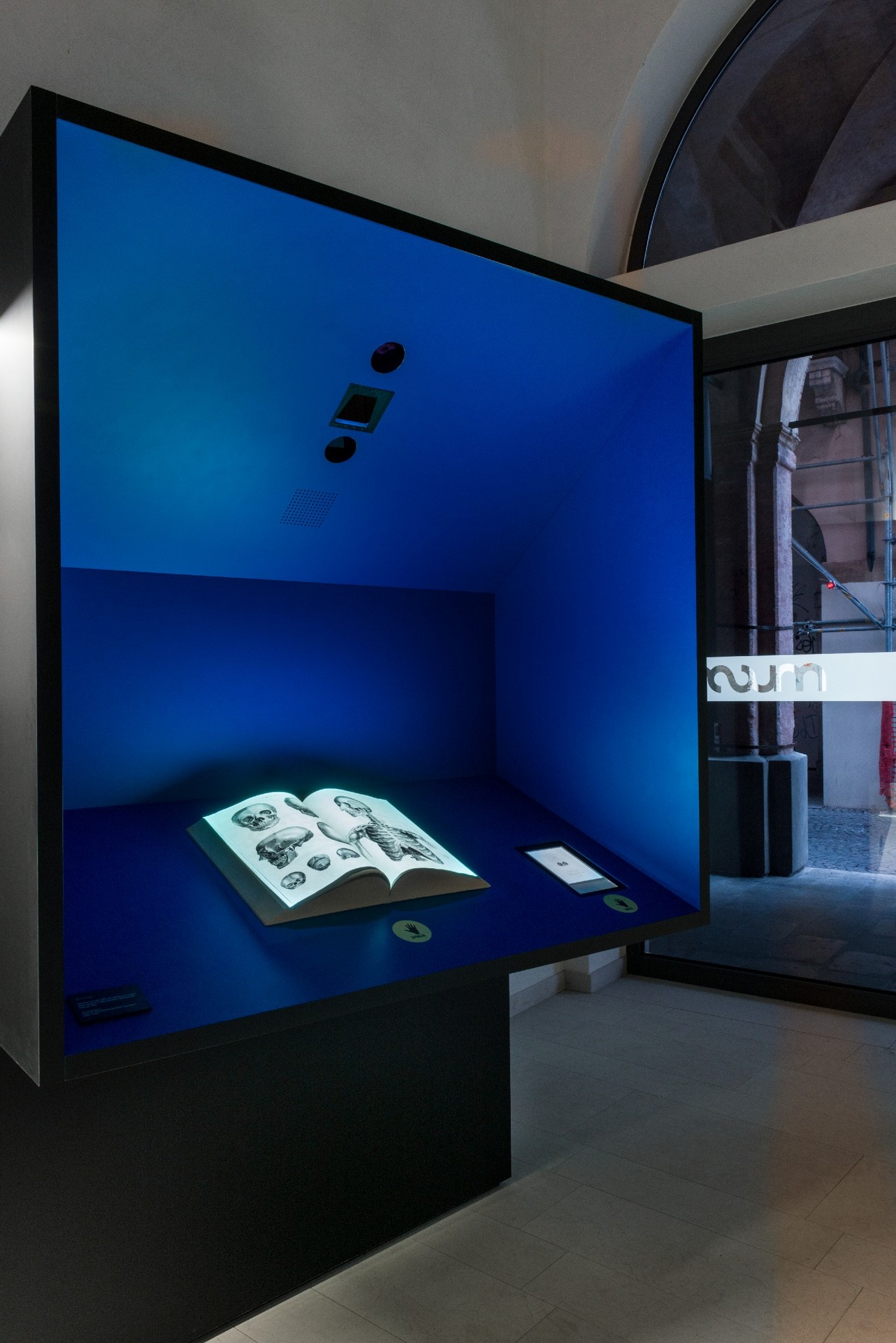 CORDE_MUSME_©Alessandro Ruzzier_allestimento permanente