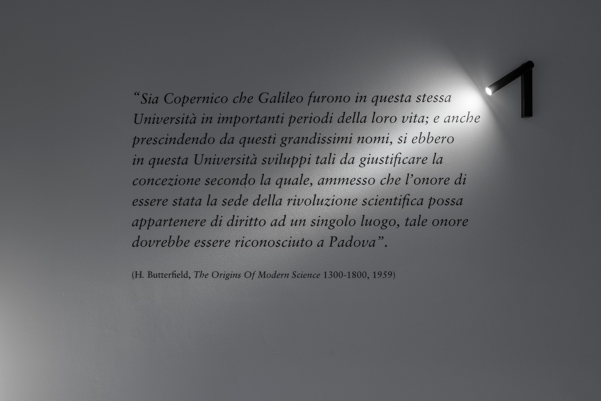 CORDE_MUSME_©Alessandro Ruzzier_dettaglio