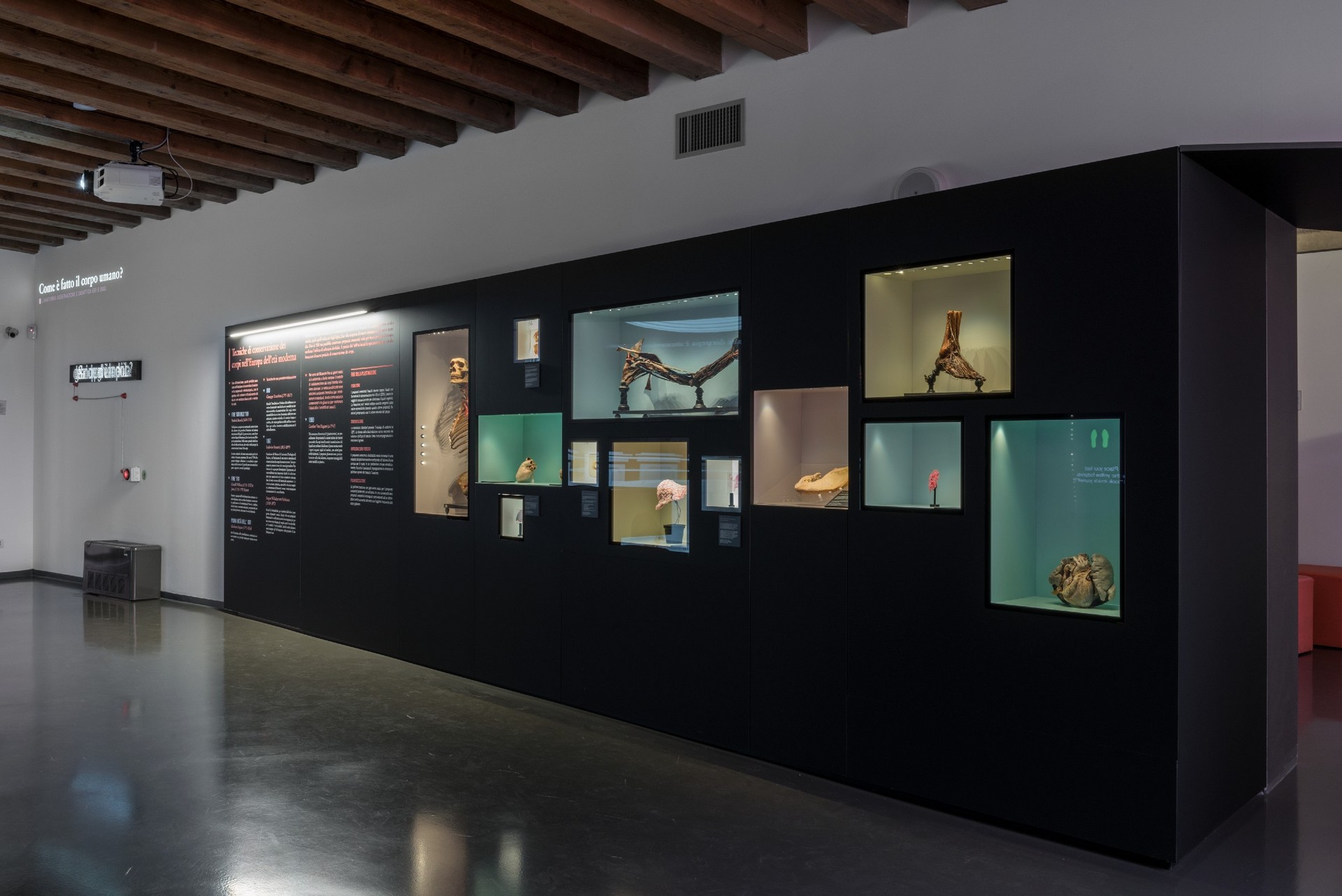 CORDE_MUSME_©Alessandro Ruzzier_sezione tecniche di conservazione