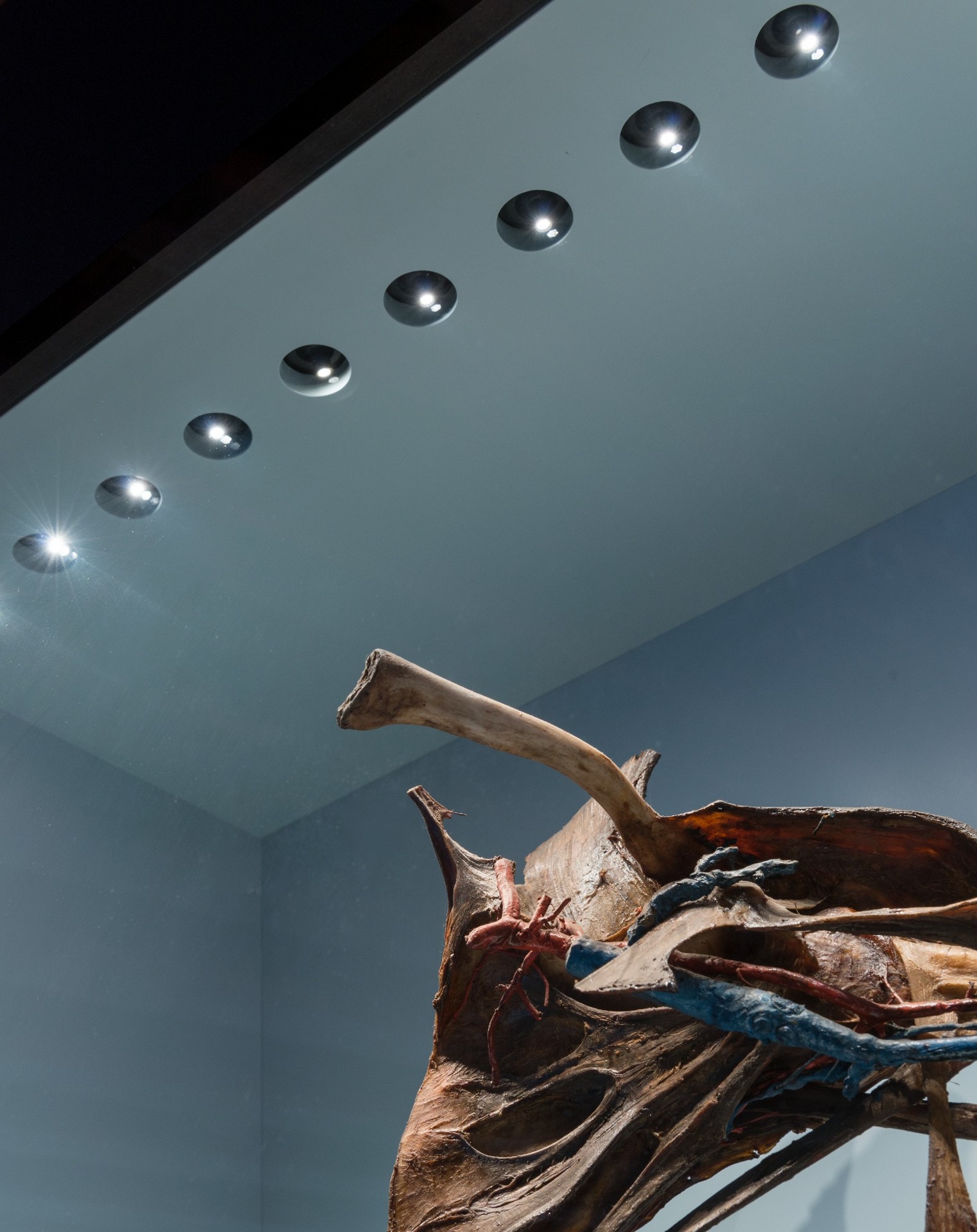 CORDE_MUSME_©Alessandro Ruzzier_dettaglio sezione tecniche di conservazione