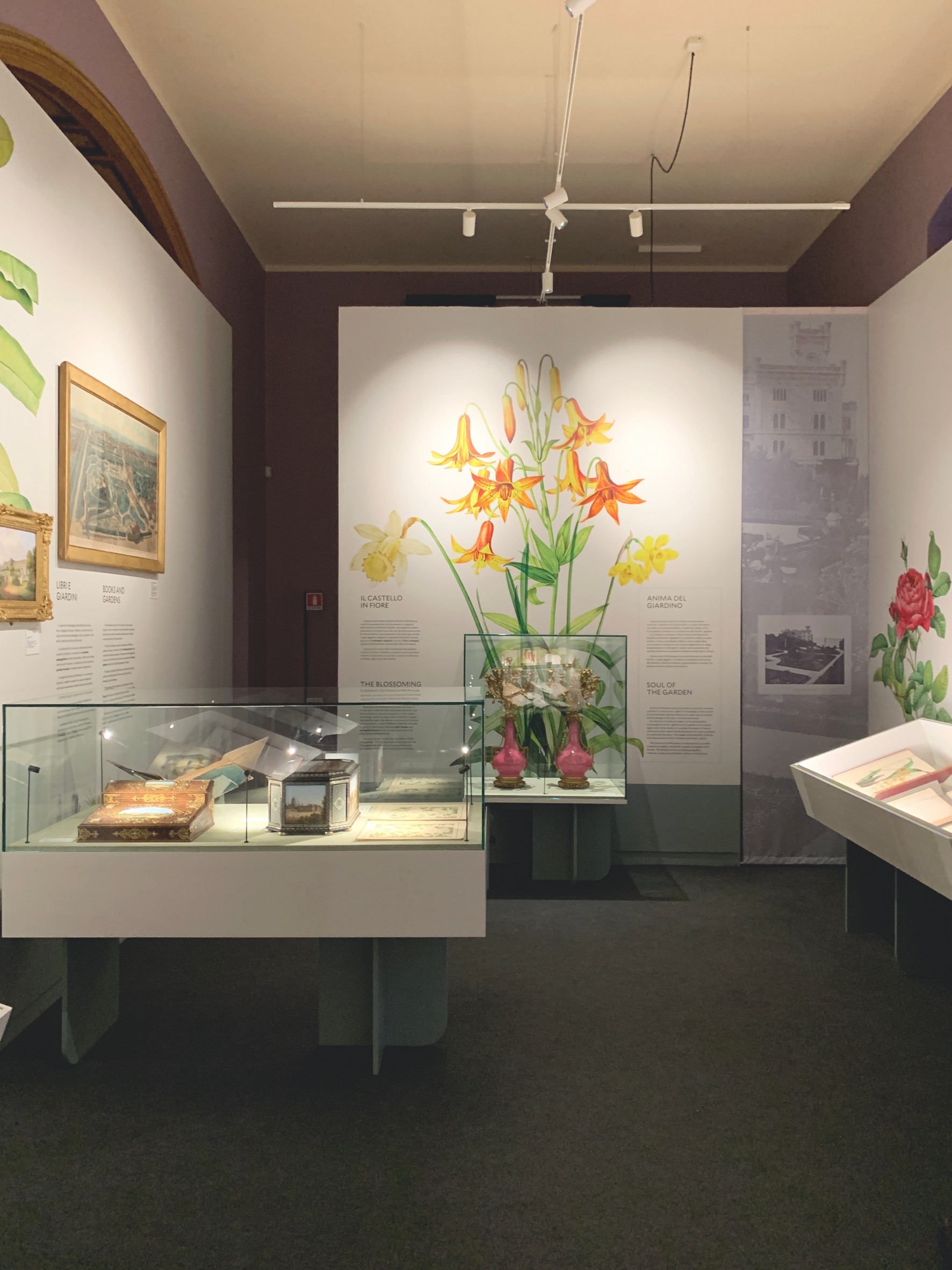 CORDE_ARS BOTANICA_©Design Associati_allestimento temporaneo