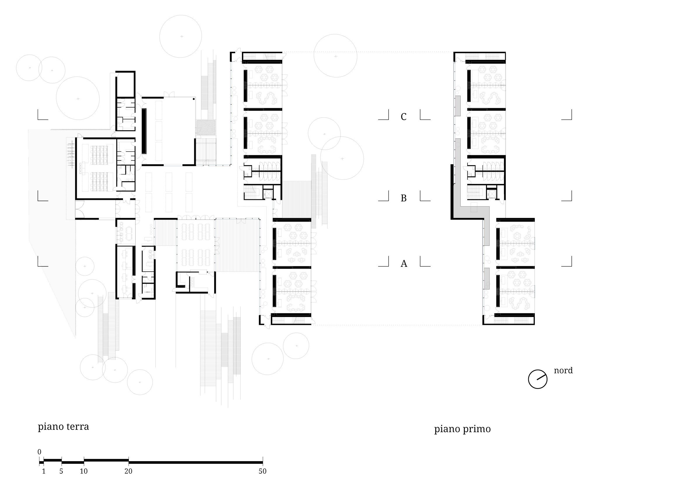 CORDE_MIUR_©archivio corde a.a_piante