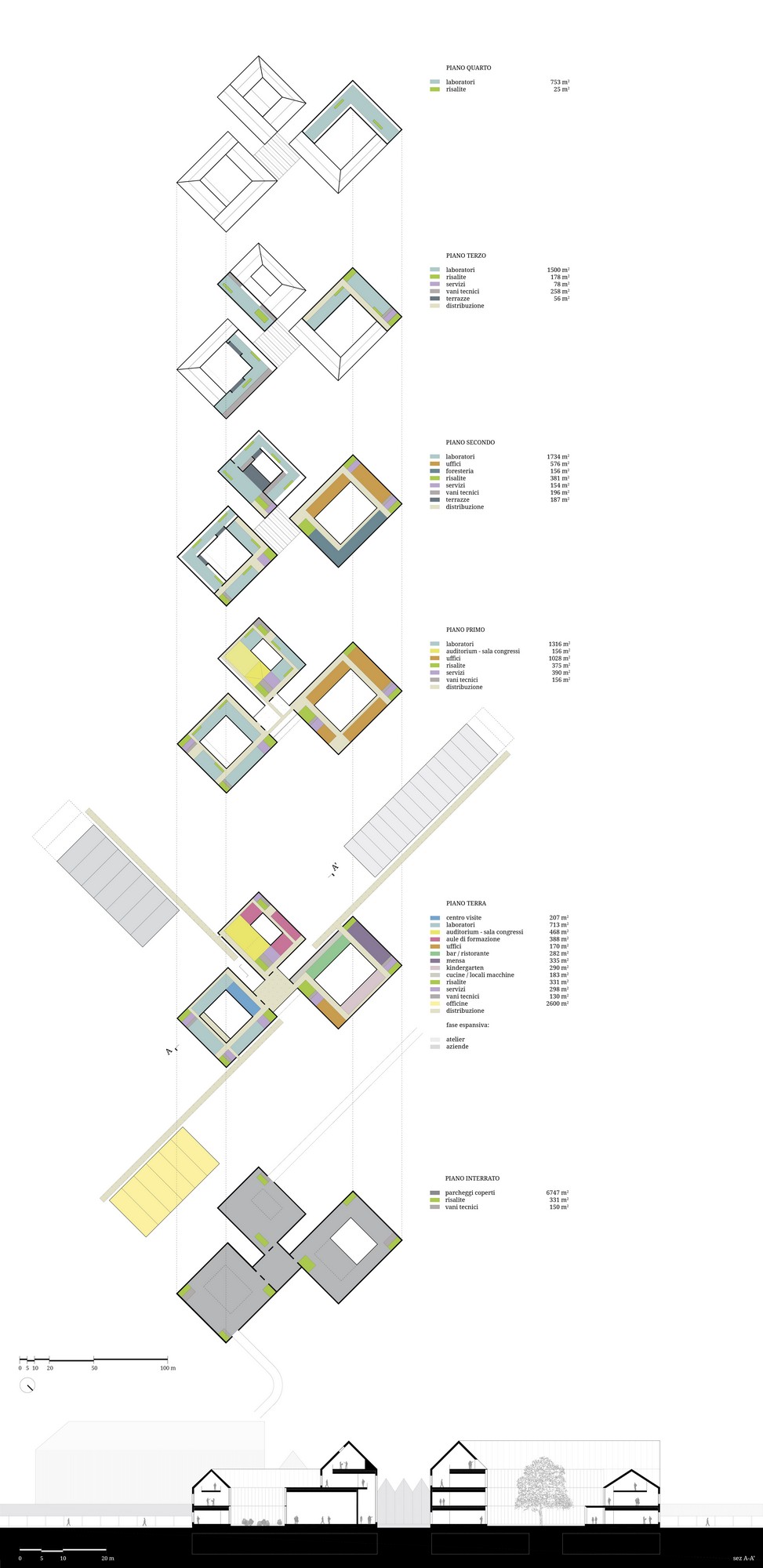CORDE_SONIG_©archivio corde a.a_schema funzionale e sezione longitudinale