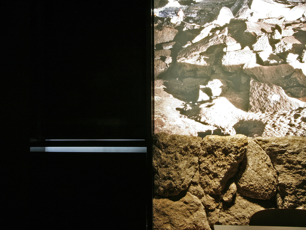 Progettazione e allestimento museo naturalistico Parco dei Gessi Bolognesi e Calanchi dell’Abbadessa, Bologna | Corde Architetti