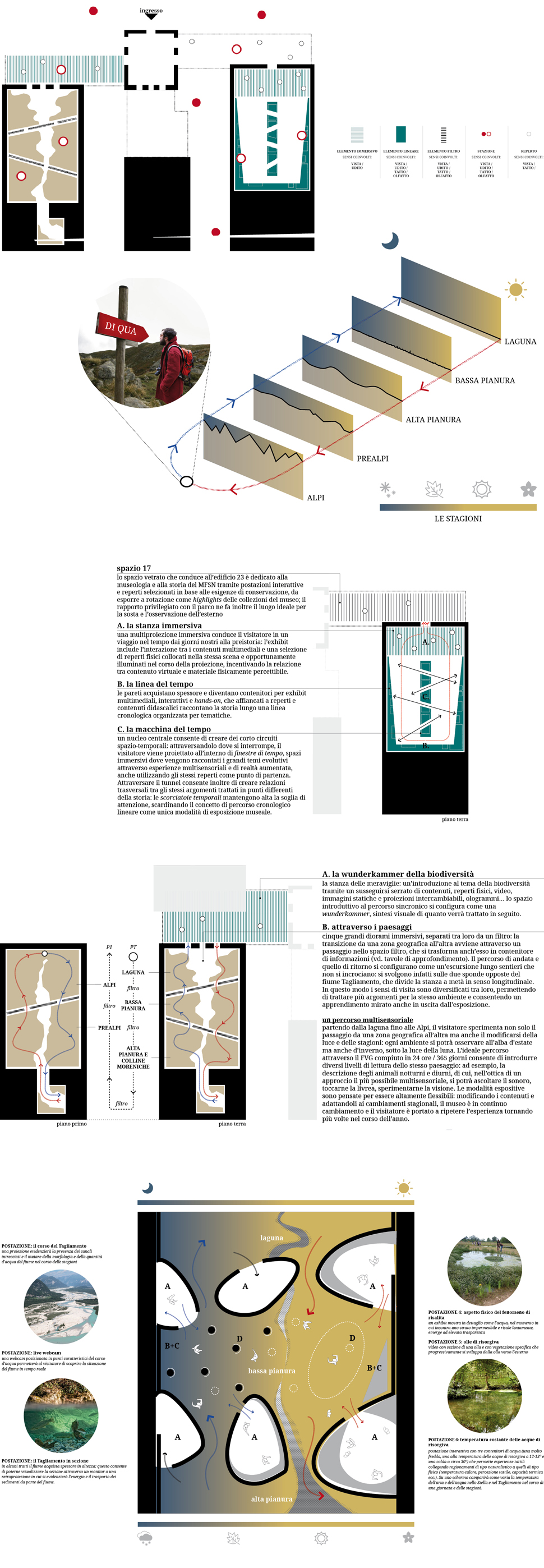 P-CORDE-MFSN-museo-friulano-storia-naturale-10